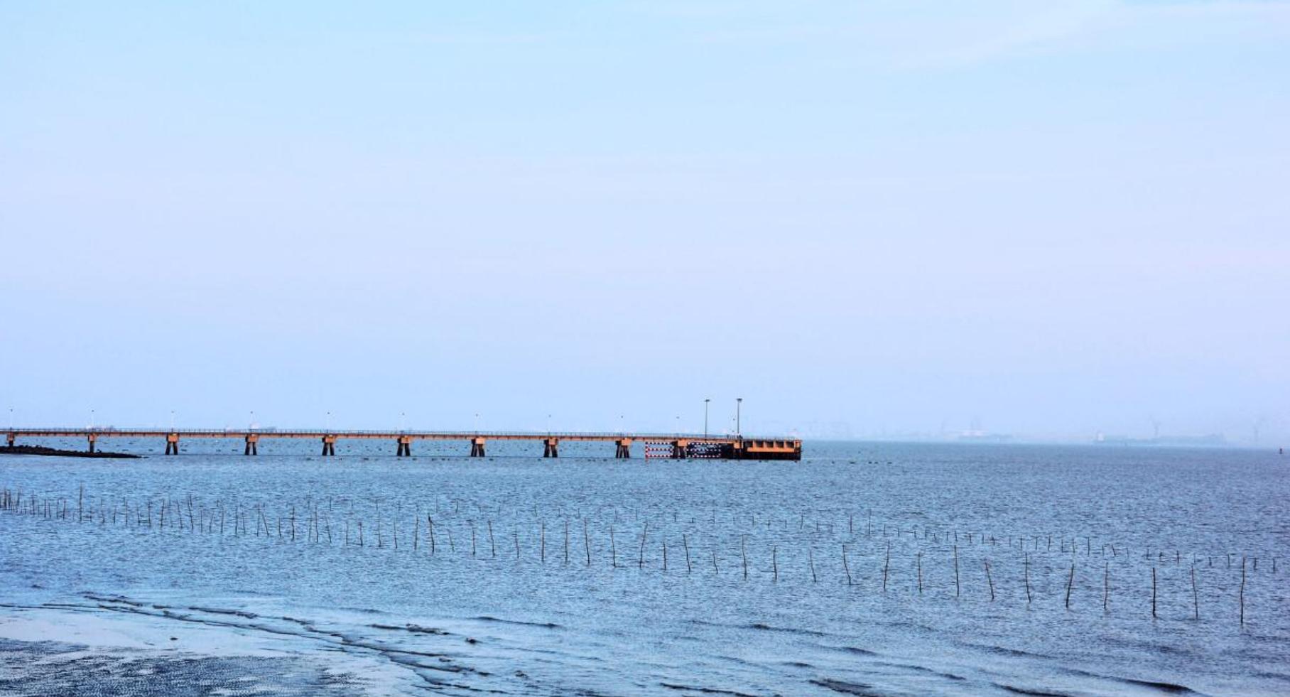 上海哪里看海,在上海去哪里看海