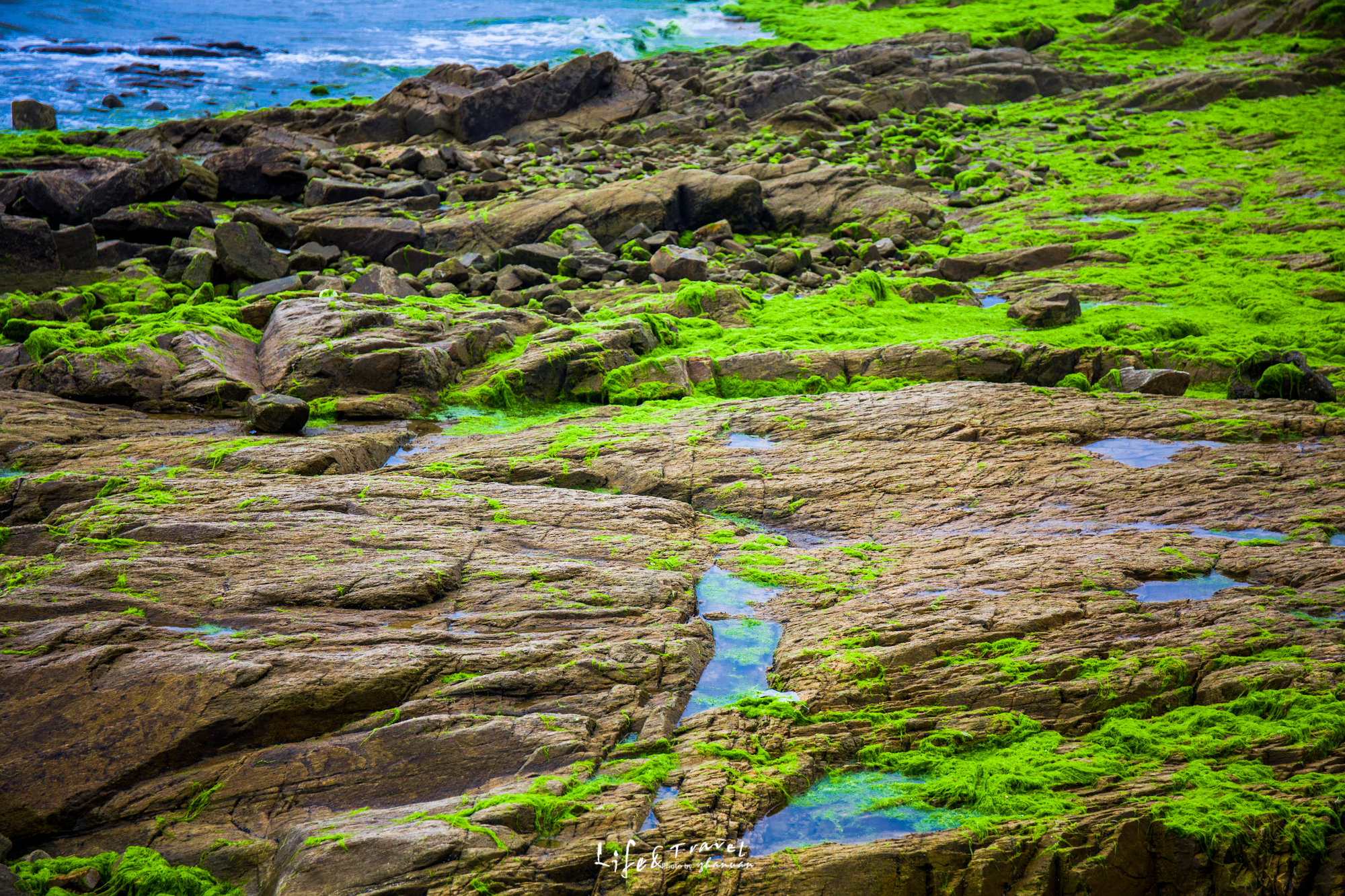 山东海滨之城是哪里,山东海滨城市景点
