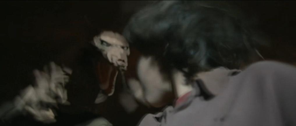 分分钟看完恐怖电影死亡迷局,恐怖电影金字塔