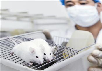 别再发脾气了！——皮肤病之情绪稳定篇