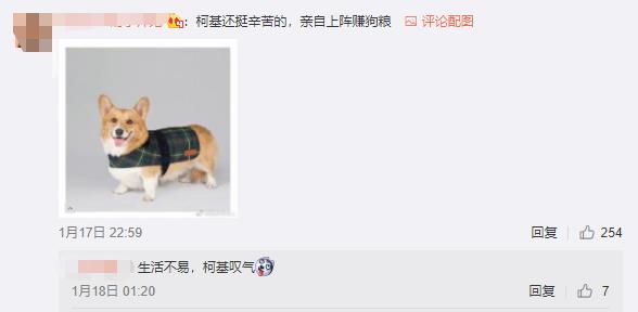 英国王室开网店双袜子600块,英国王室一双袜子价格