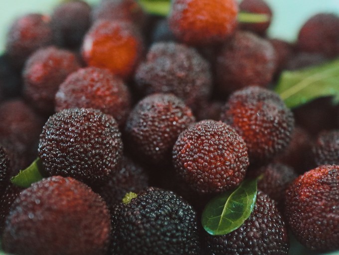携家带口游火山岛,火山岛旅游攻略自由行包车