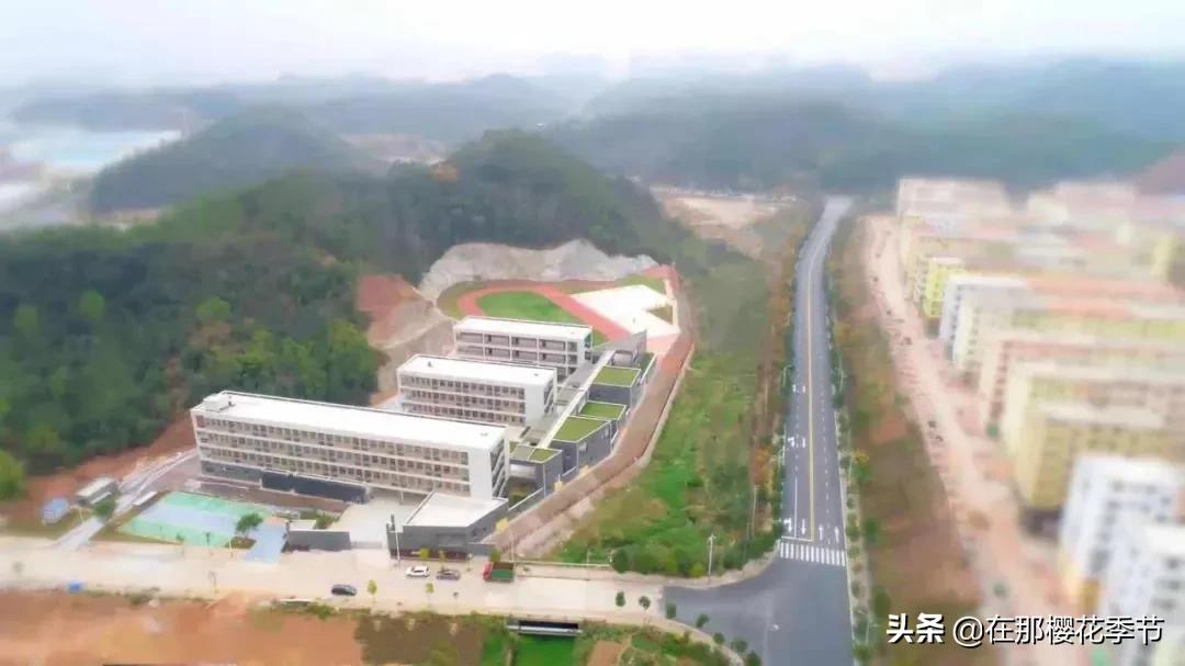 赣县稀金二小入学要求,赣县区稀金第二小学学费