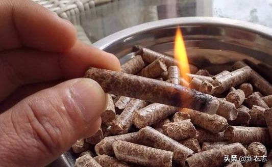 农村做点小创业项目有哪些,创业小项目农村小本创业门路推荐