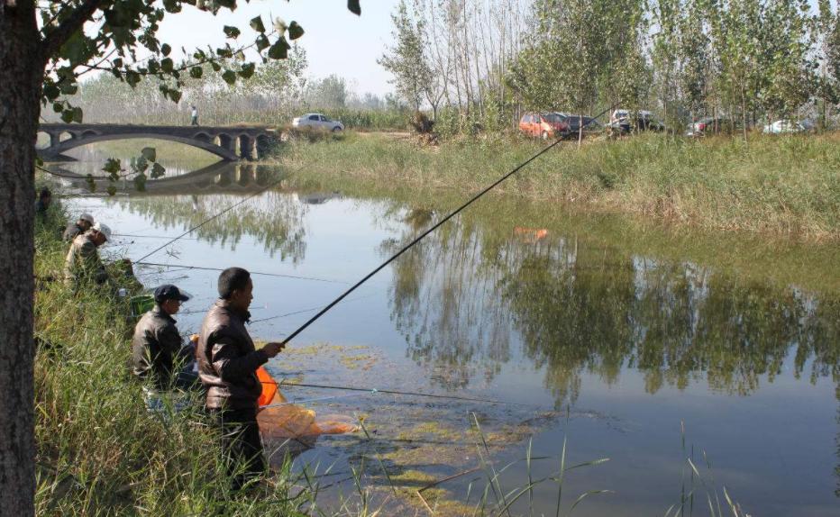 哈尔滨野钓地点推荐免费,哈尔滨周边适合野钓的地方免费