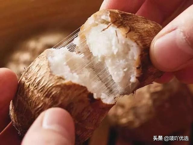 奉化芋头好吃还是荔浦芋头好吃,中国哪个地方的芋头最好吃