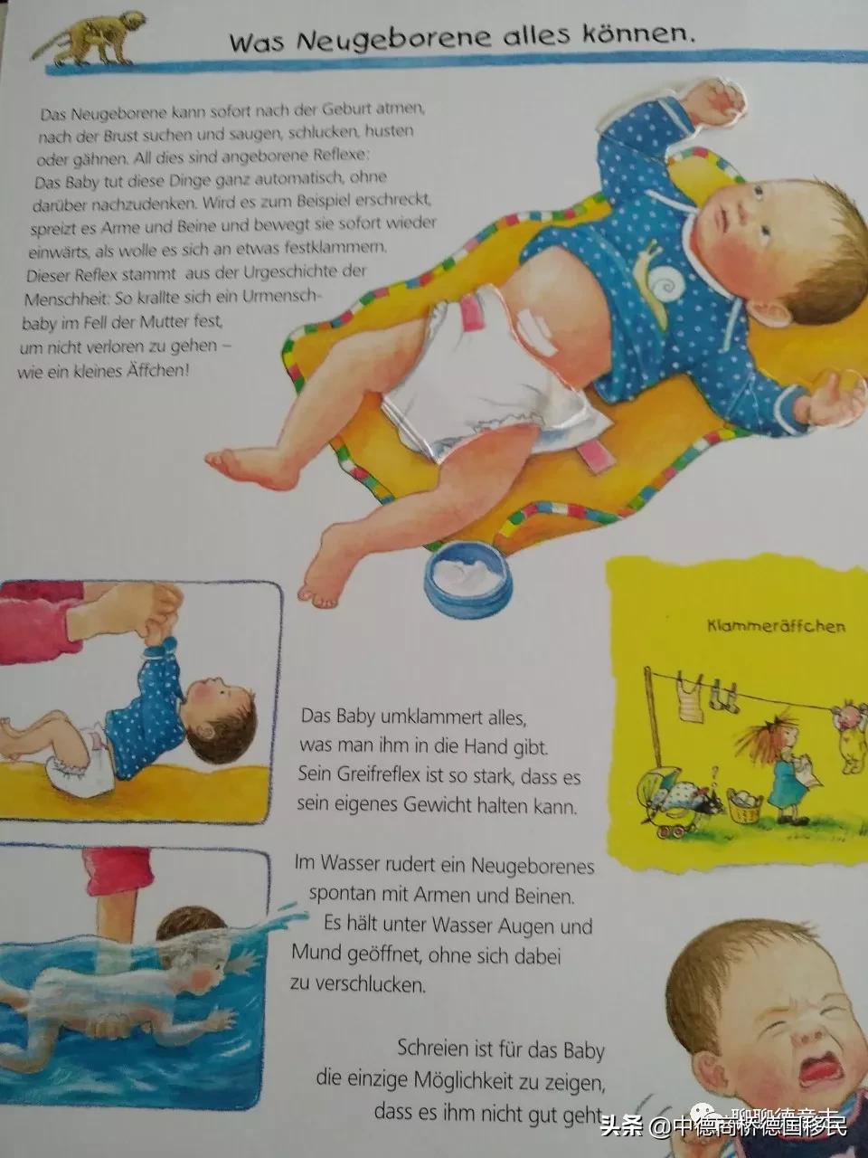 德国性教育绘本,德国儿童性教育