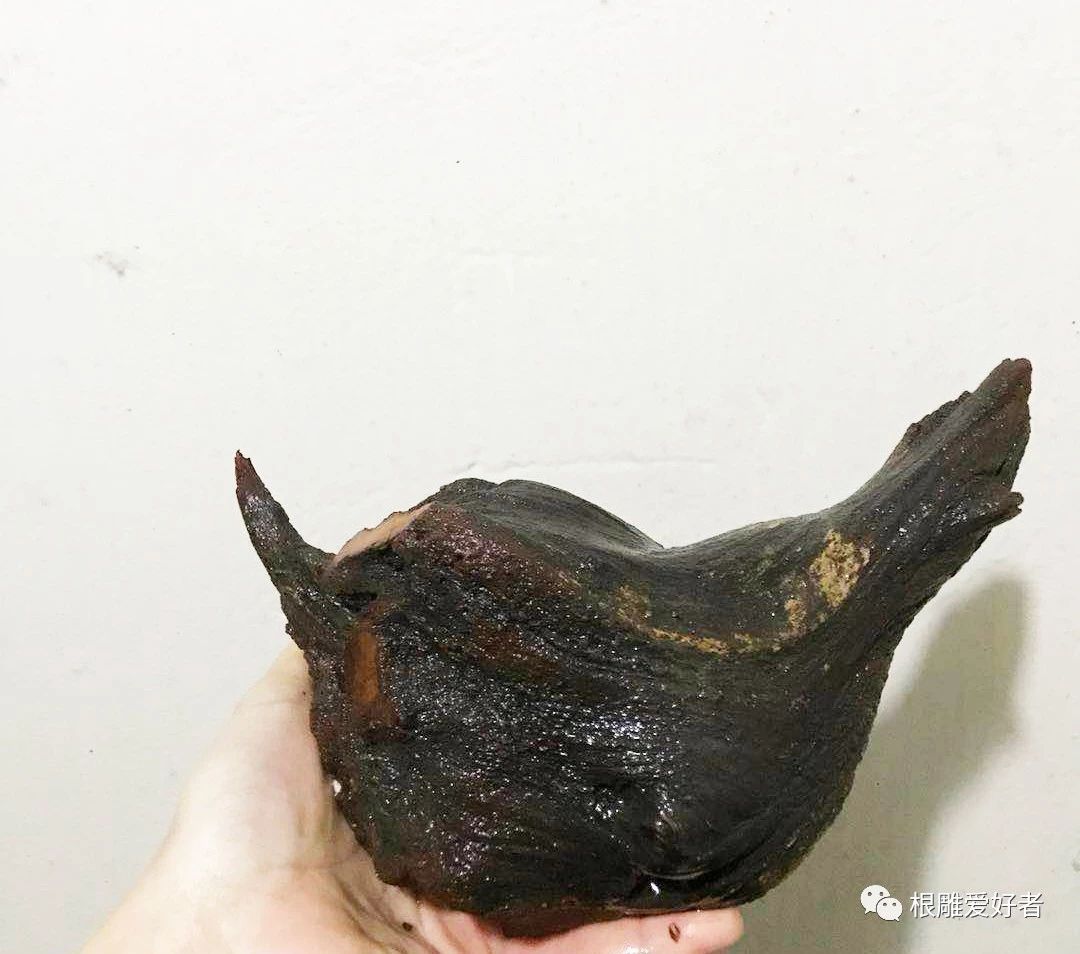 根雕茶壶作品图片,根雕艺术品长嘴茶壶