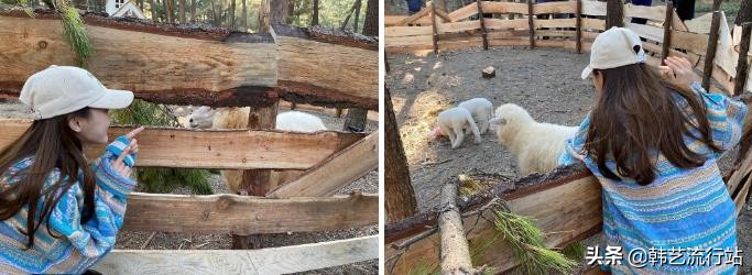 先睹为快：2021春季韩版针织衫新款在明星和模特中流行出现