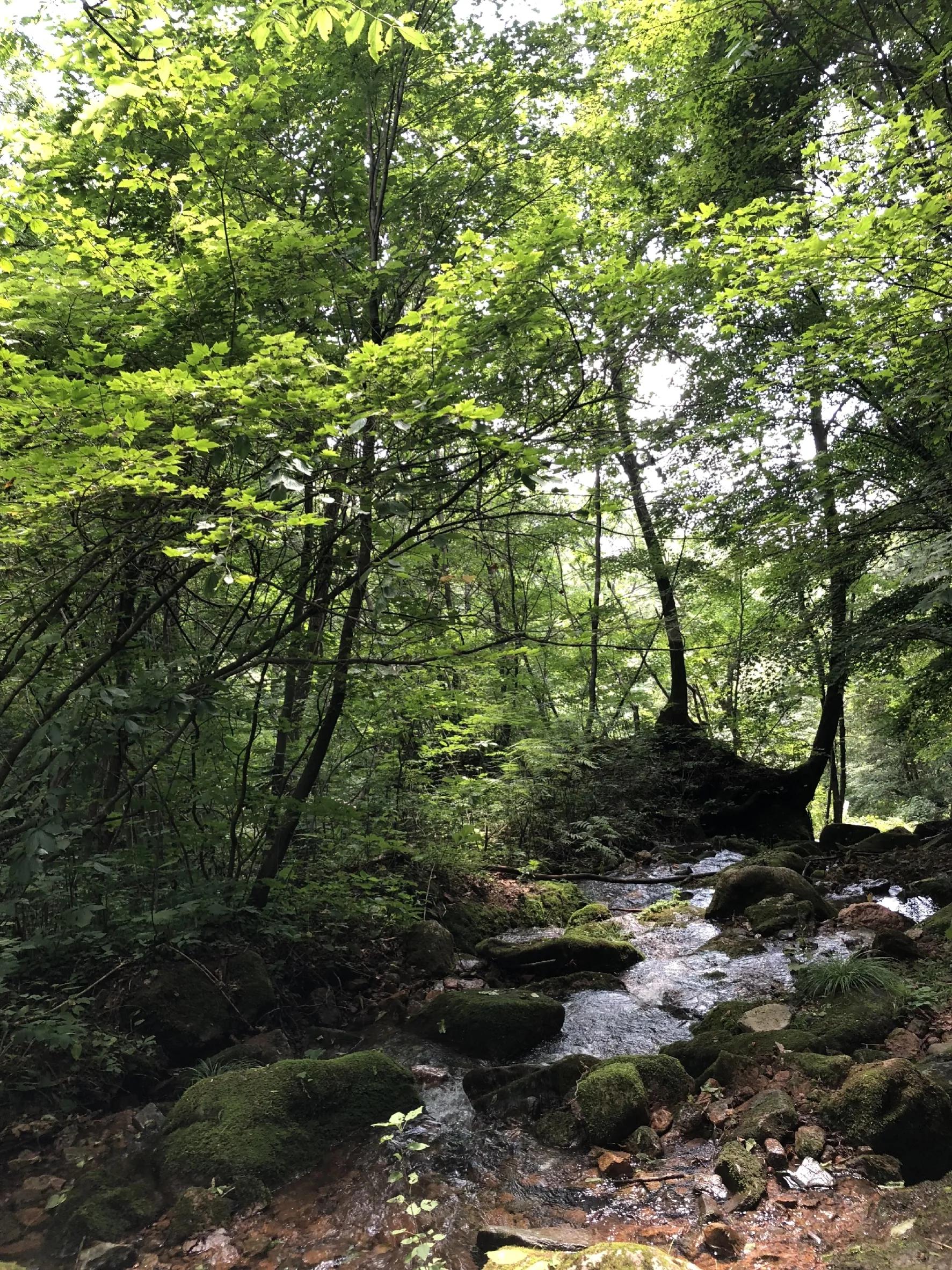 丹东集安自驾游攻略,沈阳丹东集安旅游记录