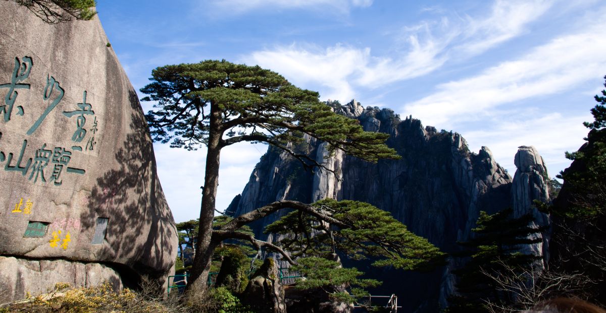 尼康d700的下一代,十年前的尼康d700