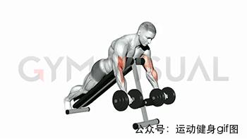 100张肌肉分解图,手臂肌肉的爆发力怎么练