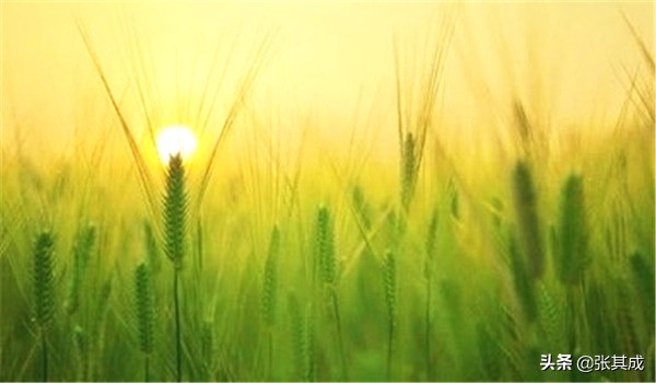 学会与人相处的三大哲理,顺人性与逆人性的本质