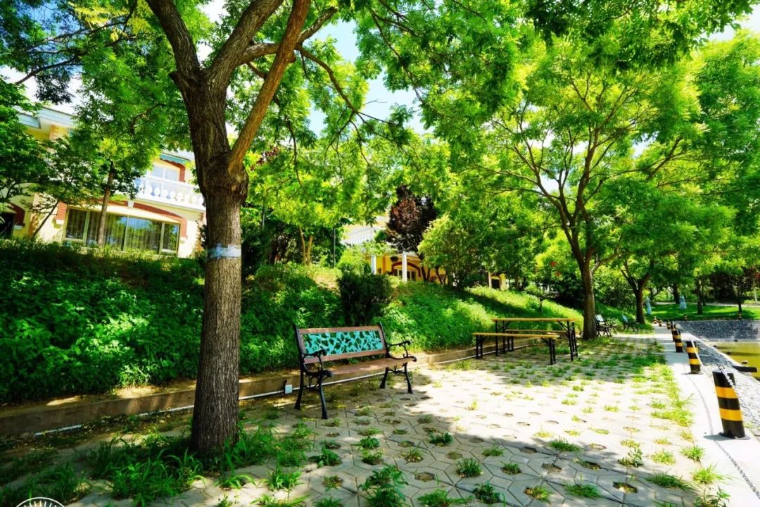 桃源溪谷哪里好玩,桃源溪谷一日游