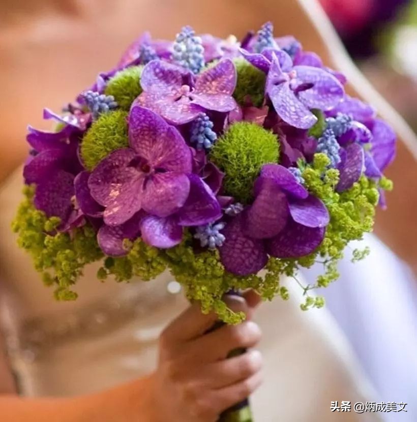 520节日祝福动态图,520节日特别祝福文字