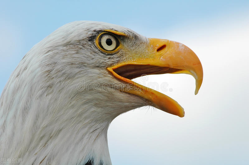 想要眼睛更有神应该吃什么,想要眼睛有神怎么做