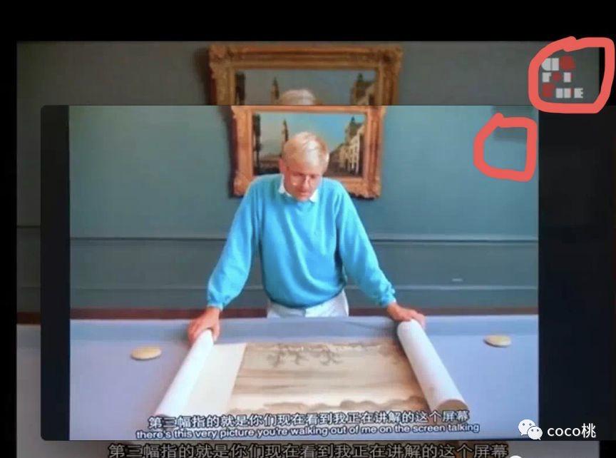 上综艺被骂得最惨的女网红,上综艺被骂得最惨的女明星