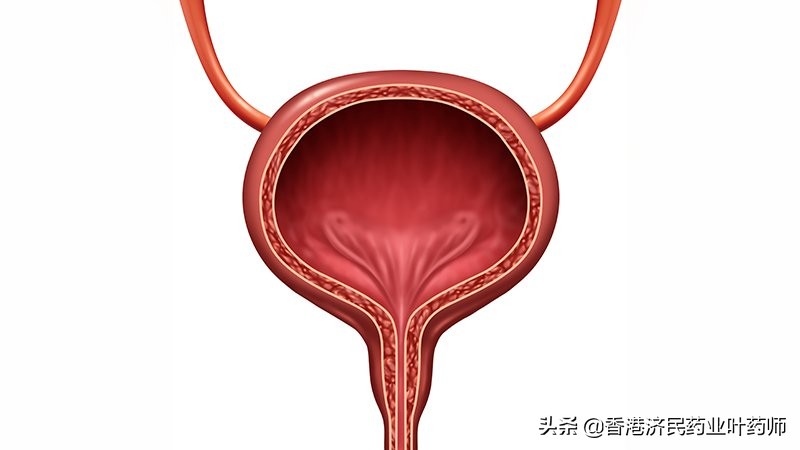 卡介苗反应性淋巴结炎能自愈吗,卡介苗对尿路上皮癌的治愈率