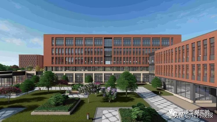 定陶区2019年小学招生政策,定陶中学招生通知什么时间公布