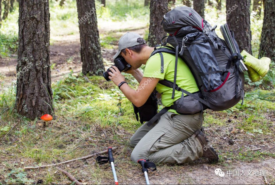 摄影彩色蘑菇,摄影师拍摄迷你蘑菇
