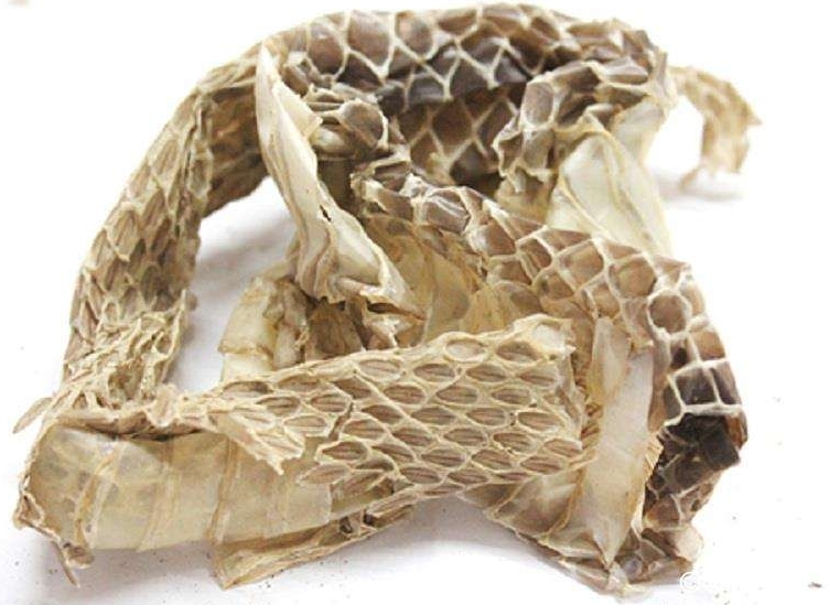 中药蛇蜕能治什么病,中药材蛇蜕