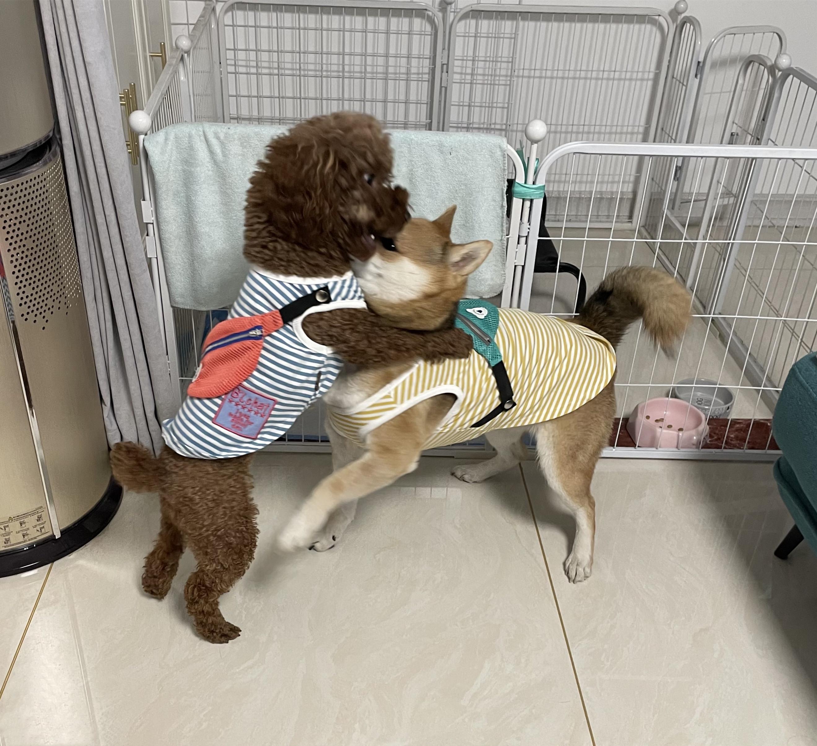 华为智选吸尘器ha5,华为智选吉米智能手持无线吸尘器