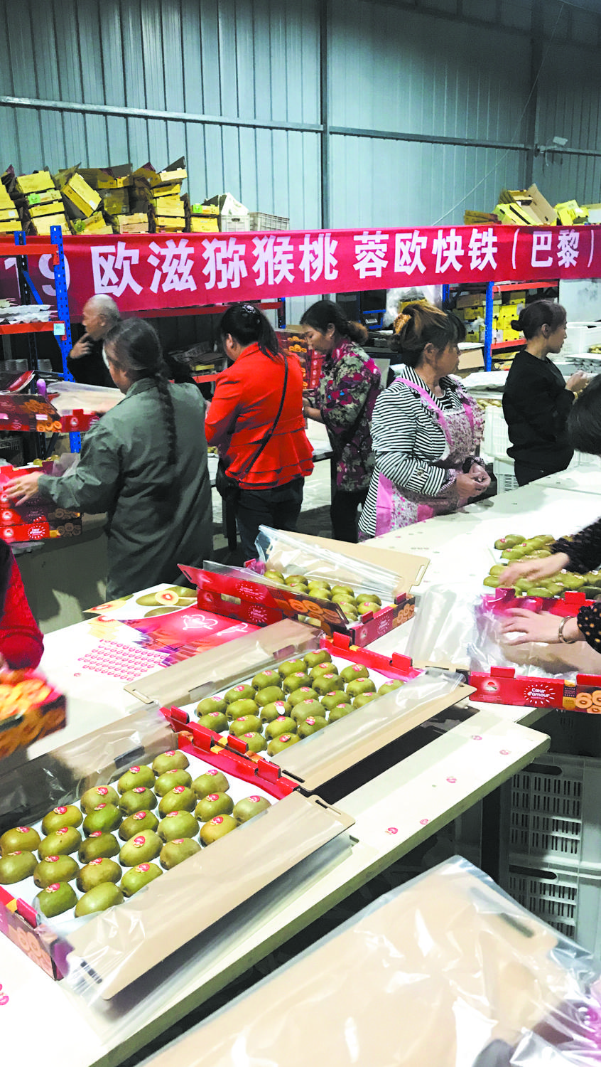 如鱼得水彭山,成都营商环境品牌打造规划