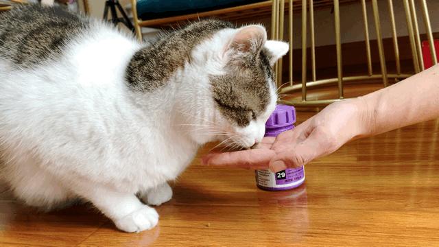 你的专属好物分享,你爱的好物分享