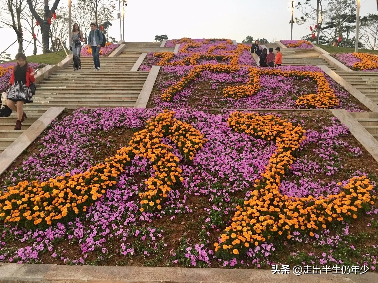 深圳足球场,深圳免费足球场