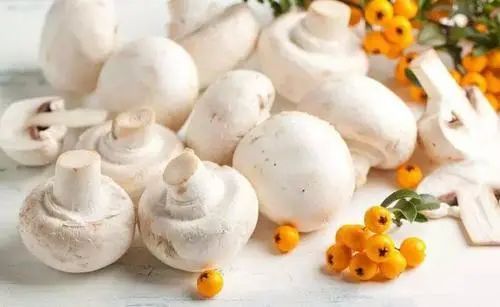 白蘑菇吃法大全,白蘑菇菜品