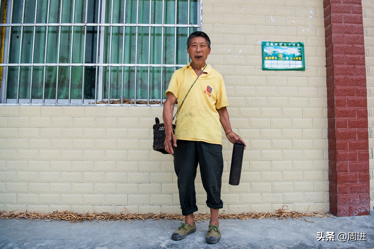 割漆因为什么让人体产生危害,漆树割漆人