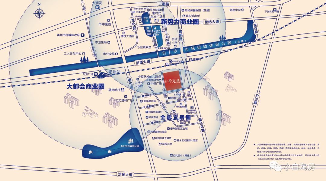 衢州小白淘房最新消息,小白淘房最新信息衢州