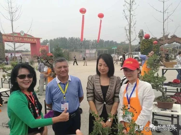 女盆景师丁昕,丁昕盆景