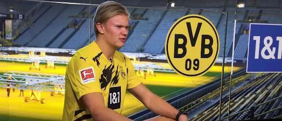 伊布为什么没拿过欧冠冠军,伊布未拥有的属性