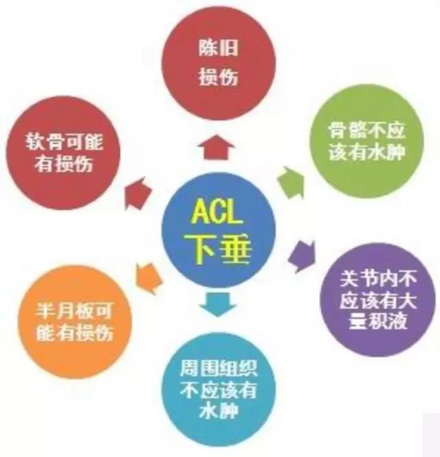 mri临床医师必读电子书,临床医生如何读mri