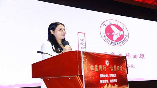 广东让爱回家公益促进会,让爱回家公益促进会在行动