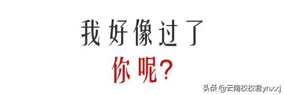 估分四六级,四六级分数线分布
