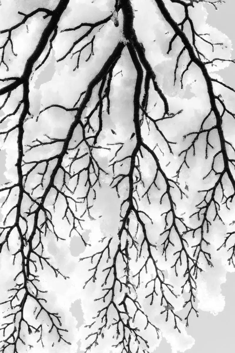 摄影讲堂冬季冰雪的拍摄技巧,冰雪拍摄技巧大全集