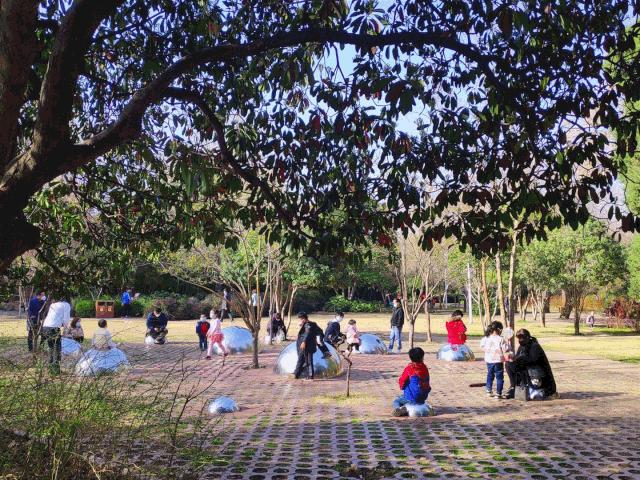 郑州免费游玩公园推荐,郑州新公园开放了吗