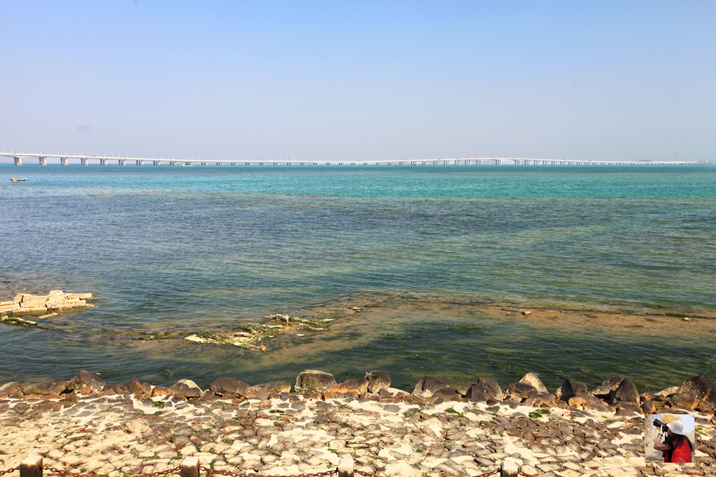 来厦门旅游一定不要错过八市,厦门这些地方比鼓浪屿更值得去