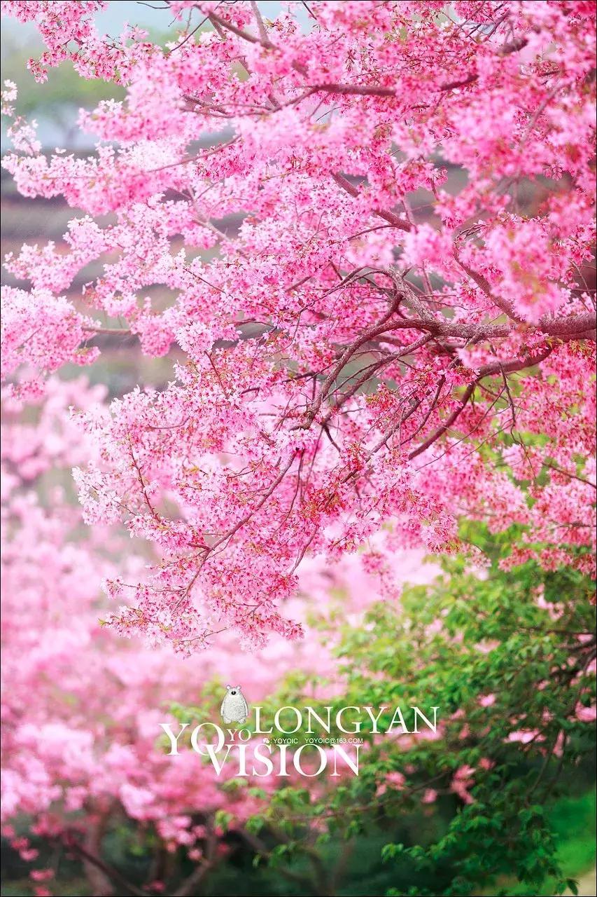 这才是一二月最值得去的13个旅行地，千万别去错了