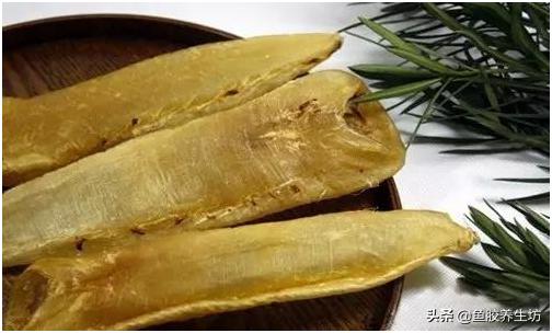 鱼胶知识书籍,鱼胶的知识抖音视频