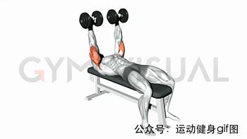 100张肌肉分解图,手臂肌肉的爆发力怎么练