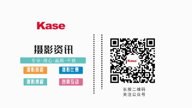 黑底植物拍摄技巧,摄影技巧如何拍摄黑色背景