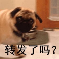 宝宝冬季帽子哪种舒服,宝宝帽子秋冬袜子