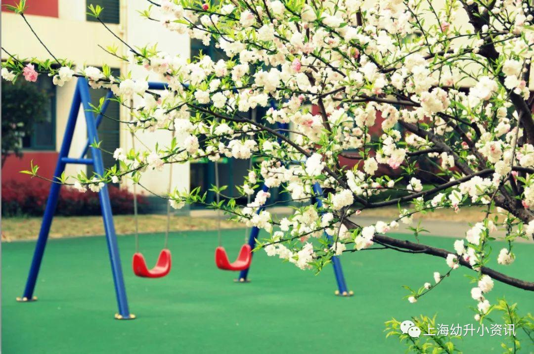 上海杨浦小学入学政策,上海杨浦区小学招生录取顺序