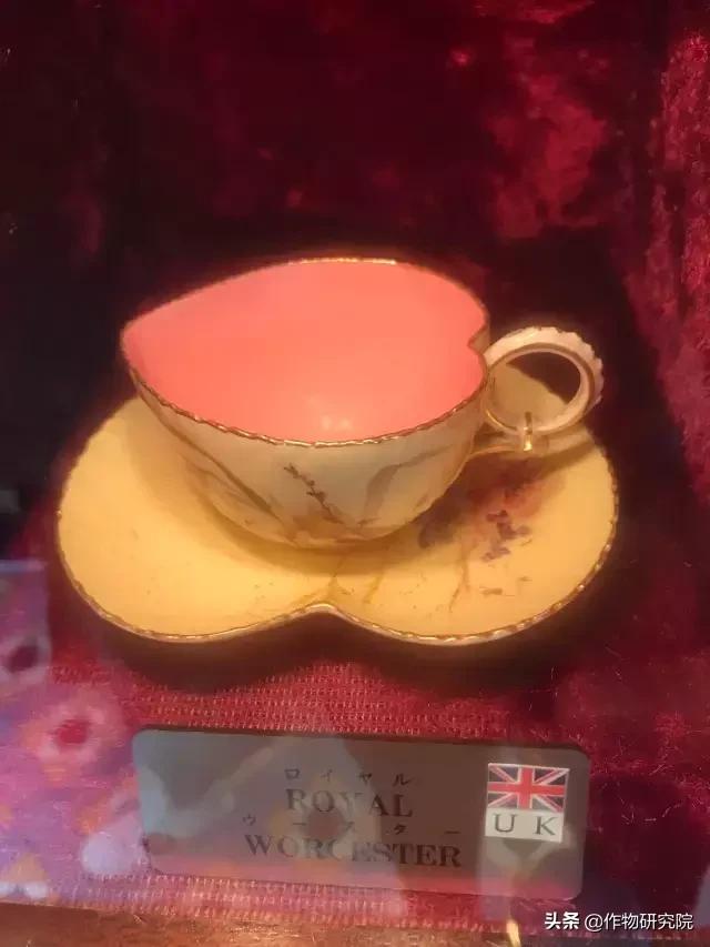 日式网红薄饼干,日本饼干伴手礼