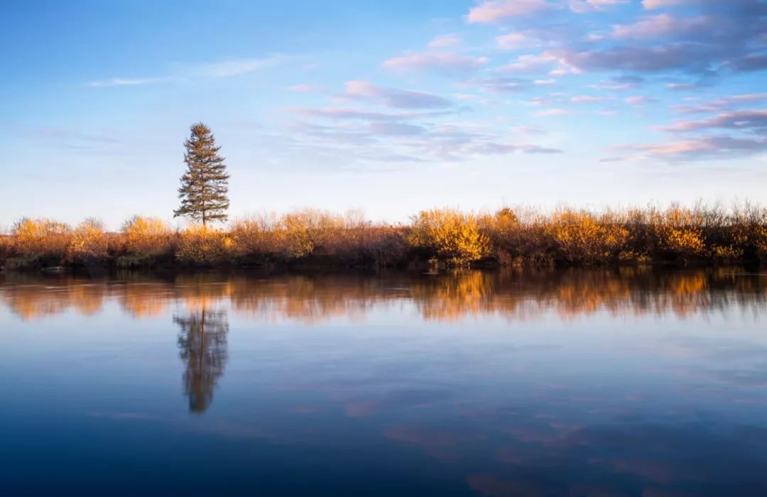 这是补气血最好的方法，不用去花冤枉钱