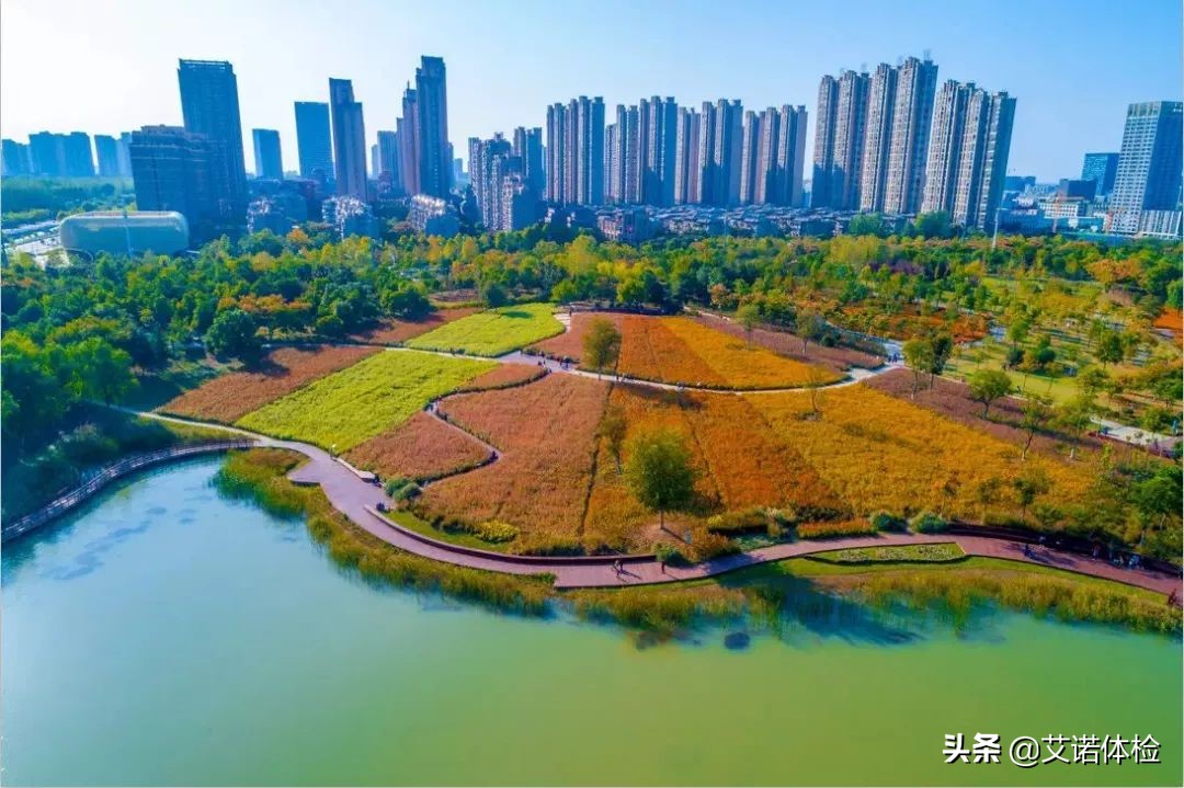 合肥景区免费景点,合肥旅游景点大全免费玩