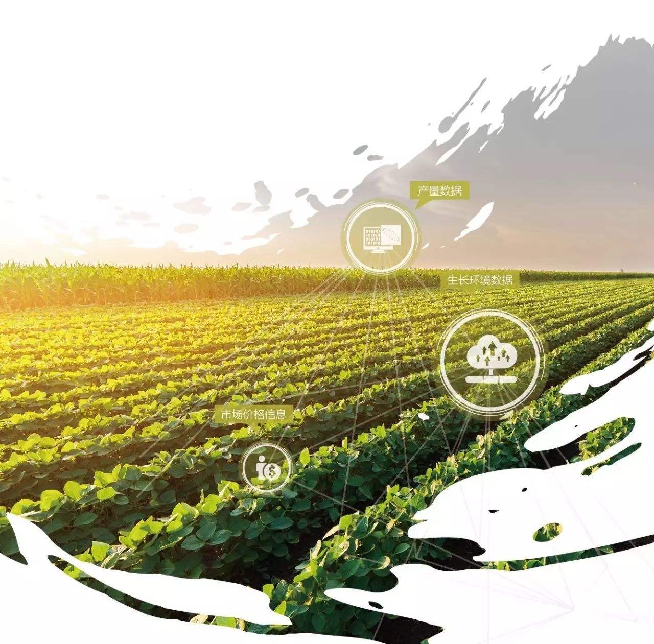 农业信息化与智慧农业发展,农业信息化的发展现状和趋势